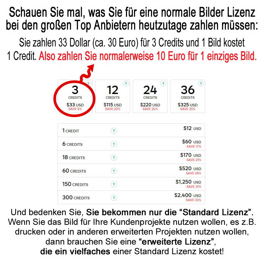 Kosten Bilder Lizenzen Kosten Bilder Lizenzen
